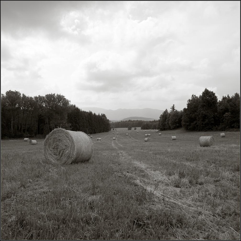 DSC_9694-Edit.jpg