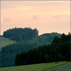 DSC_9517-Edit