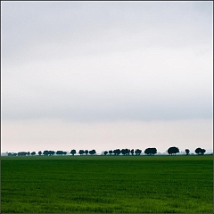 DSC_9523-Edit