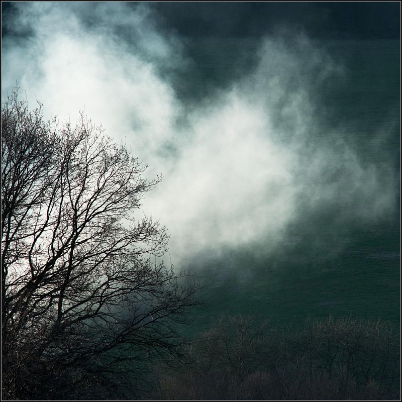 DSC_7084-Edit-Edit-Edit.jpg