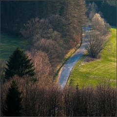 DSC_7082-Edit-2-Edit