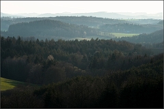 DSC_7105-Edit-2