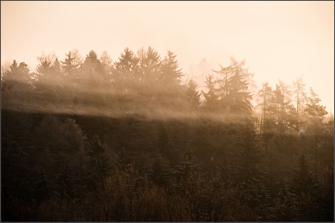 DSC_2216-Edit-Edit.jpg