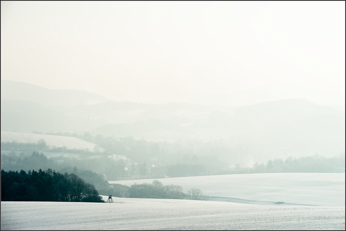 DSC_2256-Edit-Edit.jpg