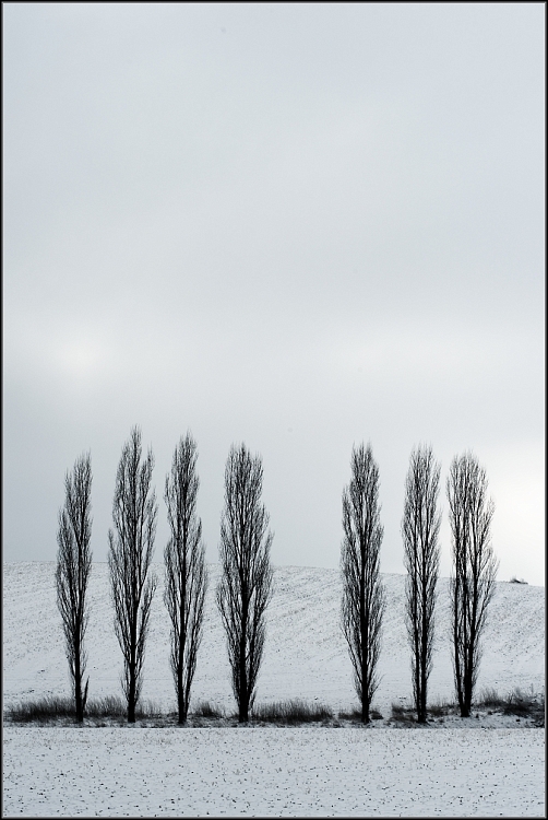 DSC_2272-Edit-Edit.jpg