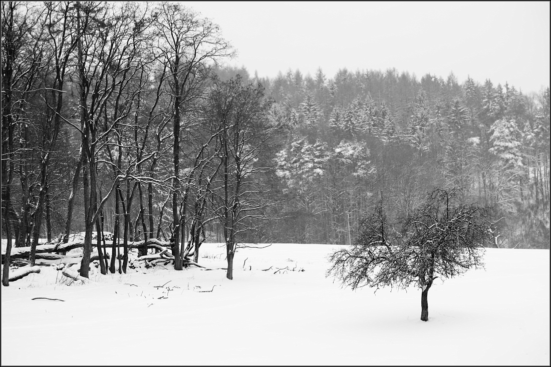 DSC_2400-Edit-2-Edit.jpg