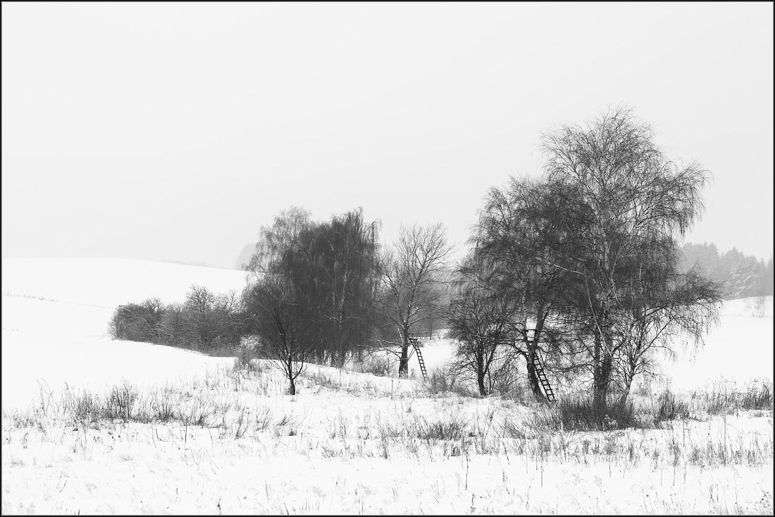 DSC_2408-Edit-Edit.jpg