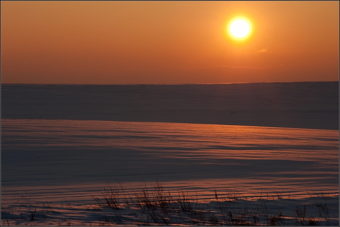 DSC_3063-Edit.jpg