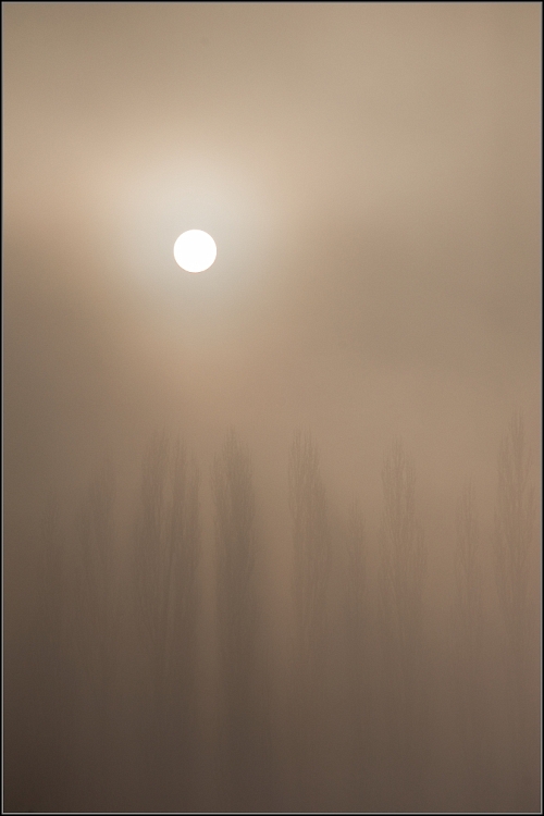 DSC_3105-Edit.jpg