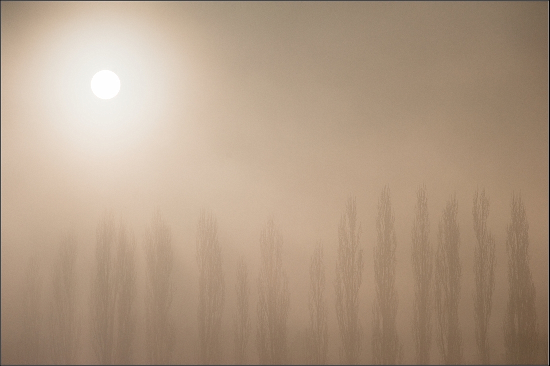 DSC_3108-Edit.jpg