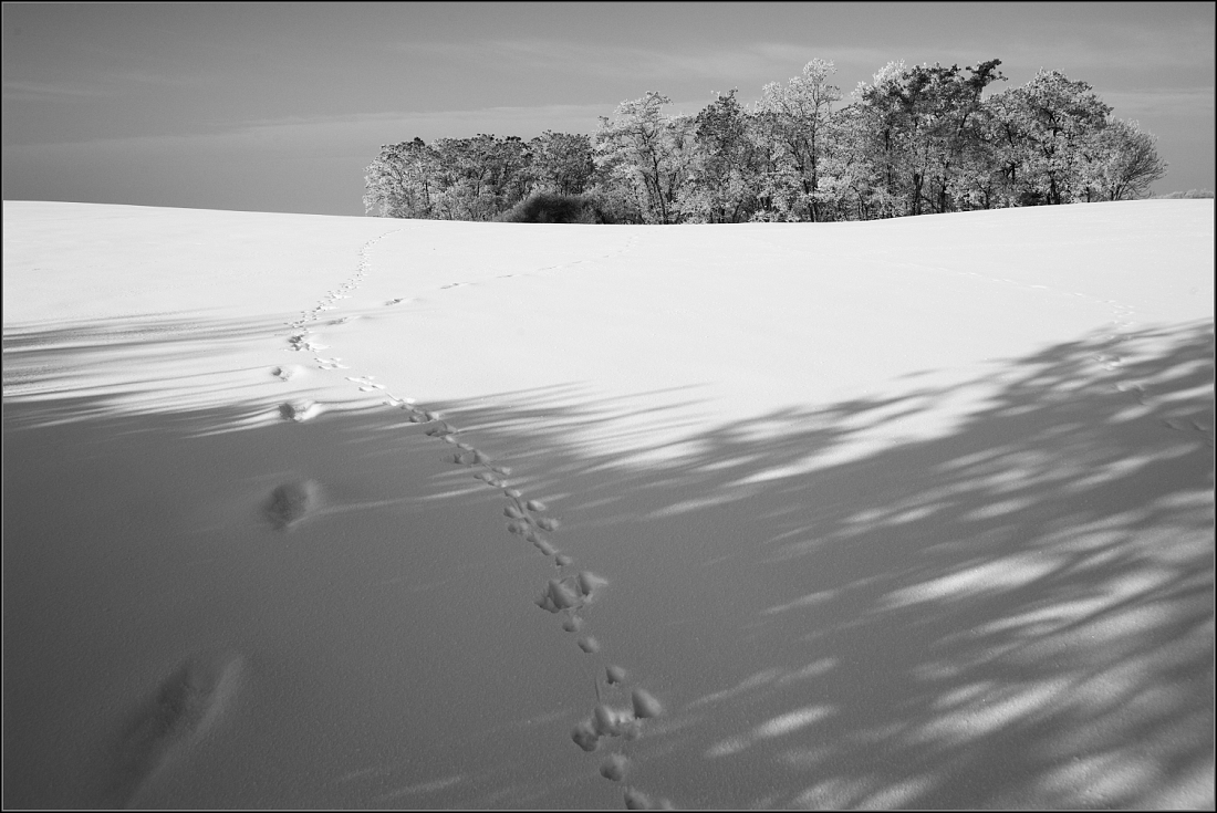 DSC_3144-Edit.jpg