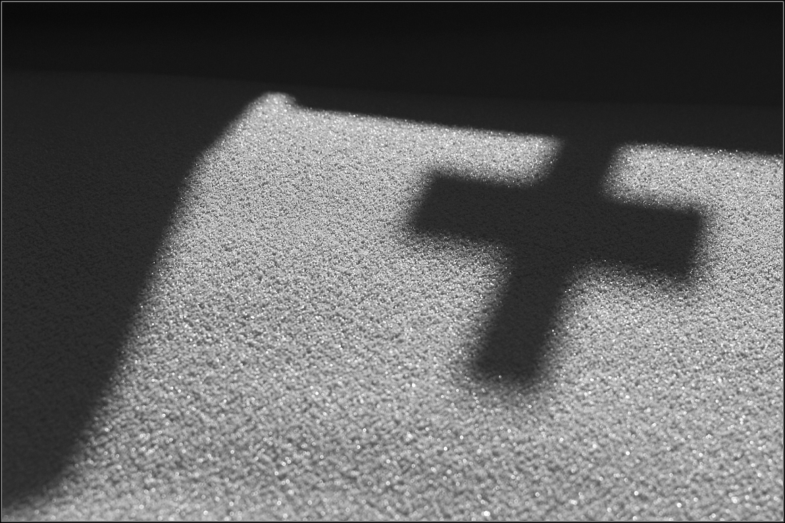 DSC_3203-Edit.jpg
