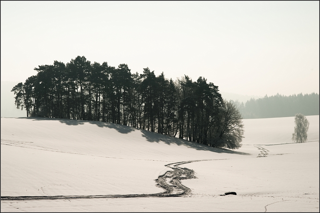 DSC_3230-Edit.jpg