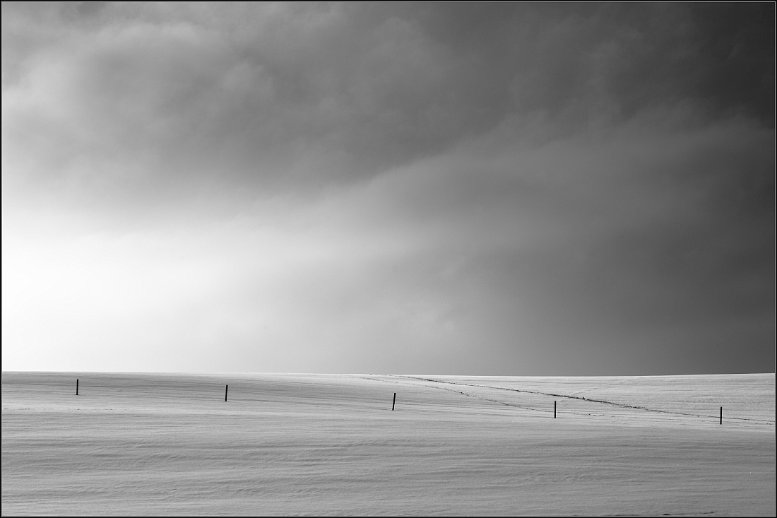 DSC_3503-Edit.jpg
