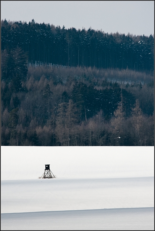DSC_3538-Edit.jpg