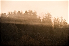 DSC_2216-Edit-Edit