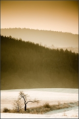 DSC_2226-Edit-Edit