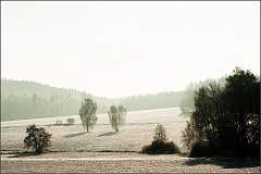 DSC_2249-Edit-2-Edit