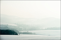 DSC_2256-Edit-Edit
