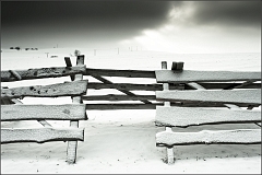 DSC_2276-Edit-Edit