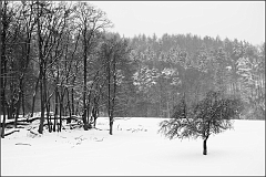 DSC_2400-Edit-2-Edit