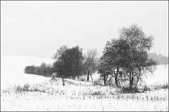 DSC_2408-Edit-Edit