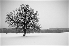DSC_2414-Edit-Edit