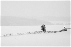 DSC_2452-Edit-2-Edit