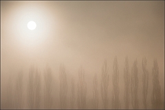DSC_3108-Edit