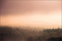 DSC_3112-Edit
