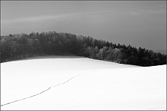 DSC_3135-Edit