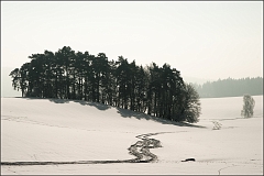 DSC_3230-Edit