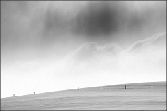 DSC_3496-Edit