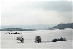 DSC_3506-Edit
