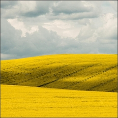 Morava